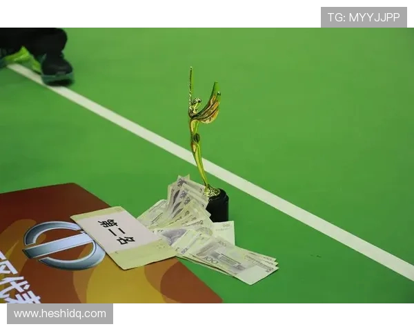 杨磊羽毛球人生的深度对话与成长之路探秘