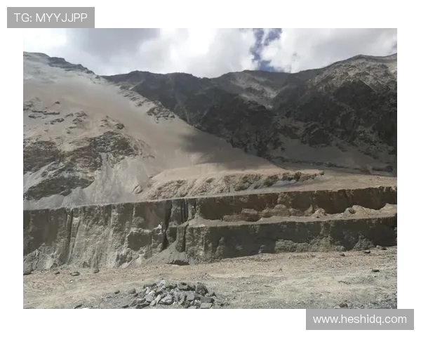 深度对话：探寻王娜在和平精英中的成长与挑战之路