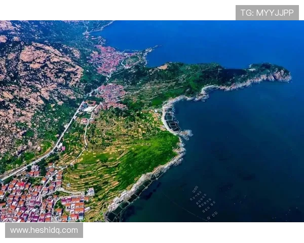 青岛国信水产创新发展助力海洋产业升级探索未来绿色可持续发展之路