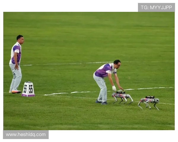 俞长栋:从科学探索到人文关怀的多维人生旅程与思考